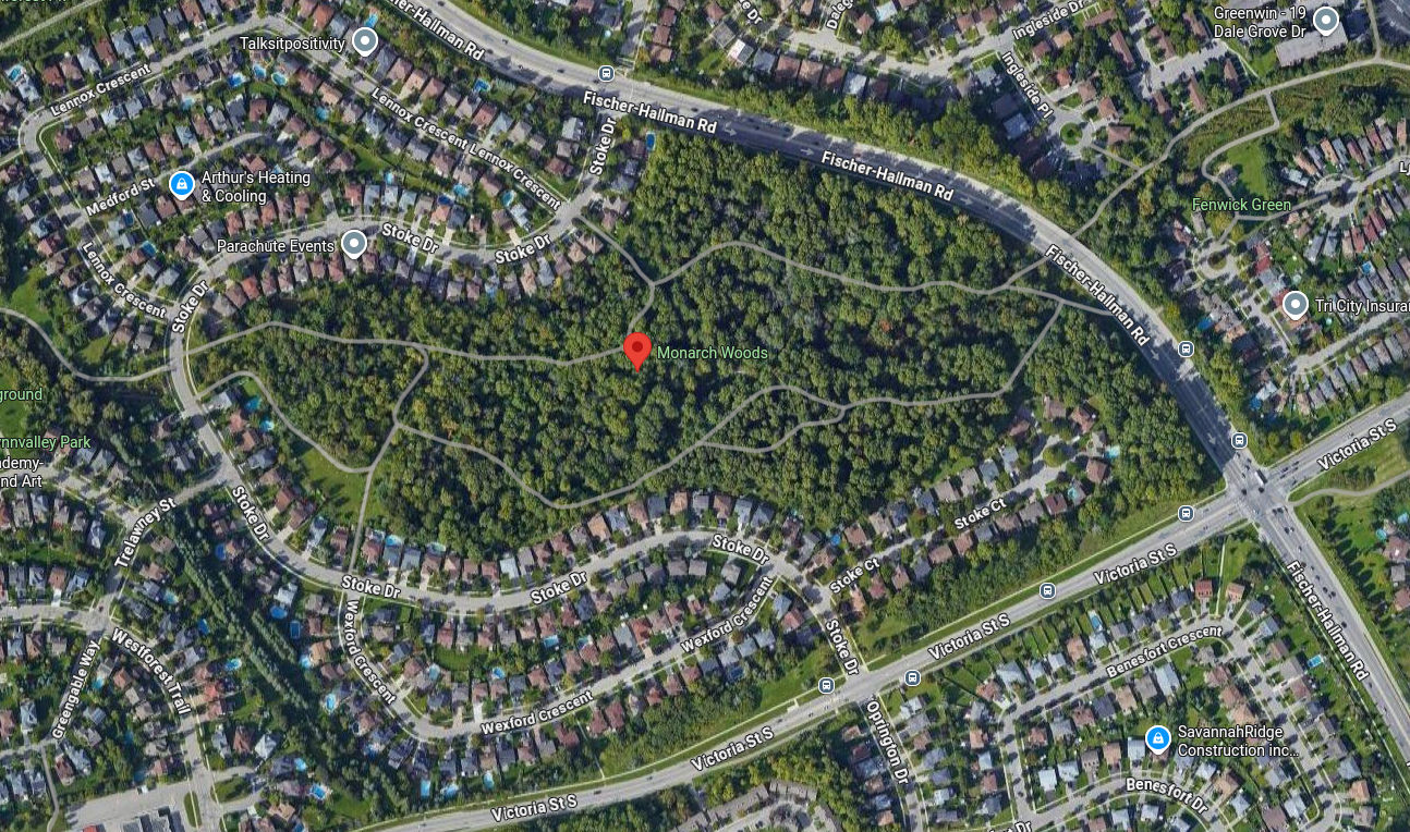 Monarch Woods Trail