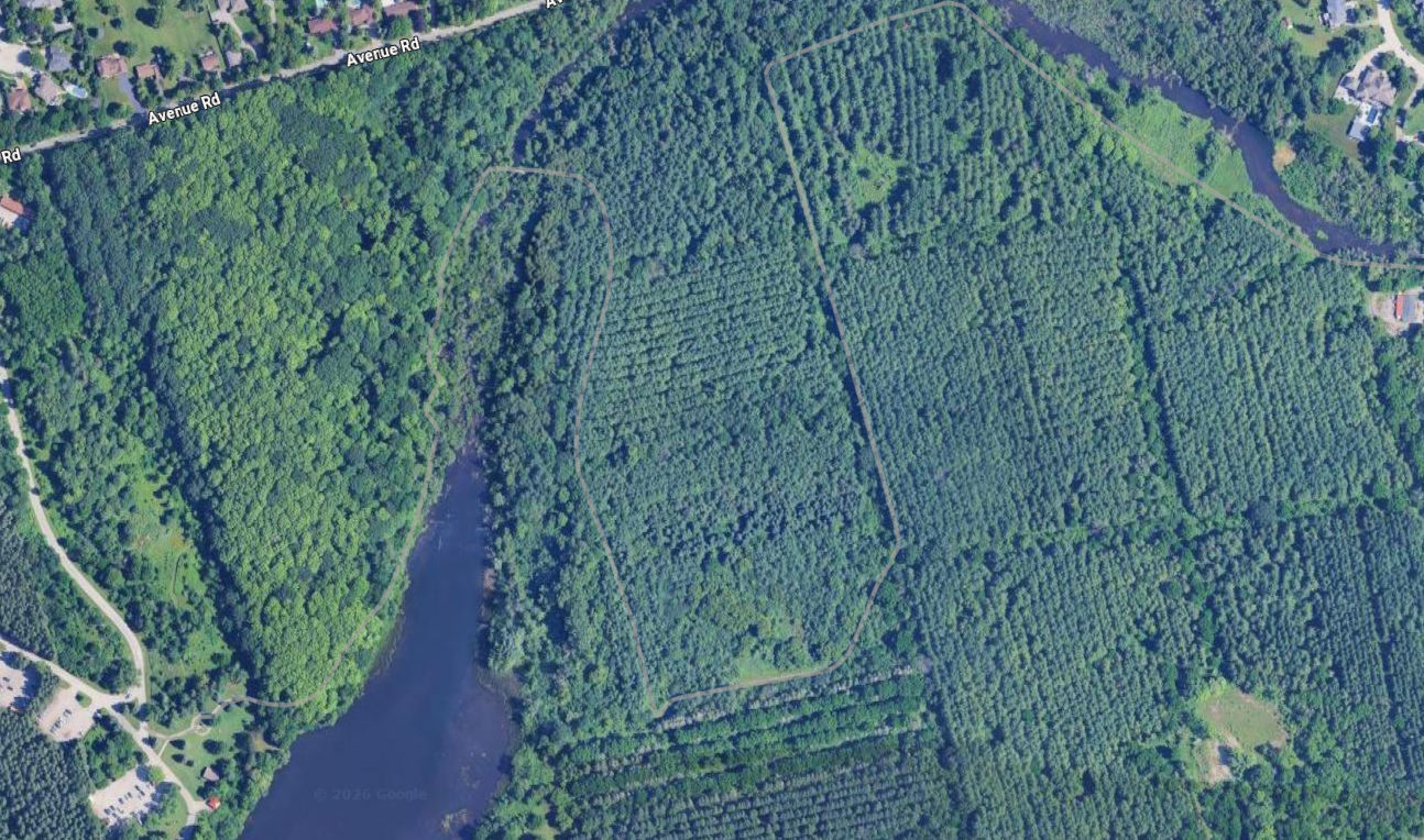Shade's Mills Conservation Area Trail
